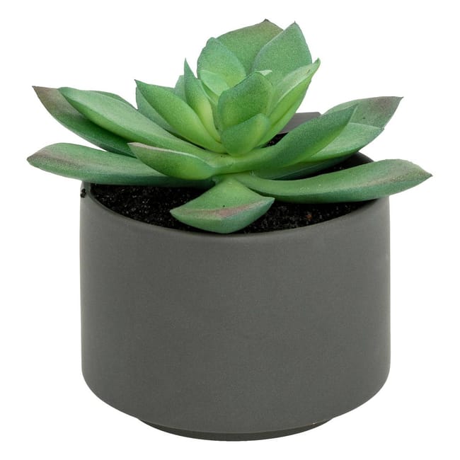 Lola Decor Planter Pot